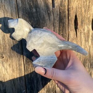 ☁️ agate t-rex crystal carving
